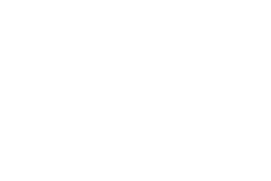 tba-client-logo-indogress-300
