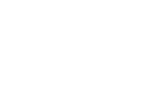 tba-client-logo-stiebel-300